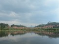 Tn PPTC 227